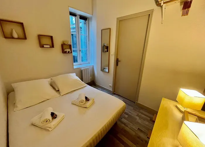 Appartement Le Petit Marche - T2 Hypercentre - Wifi